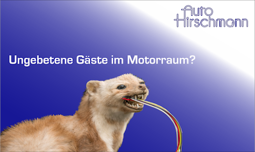 Auto Hirschmann GmbH