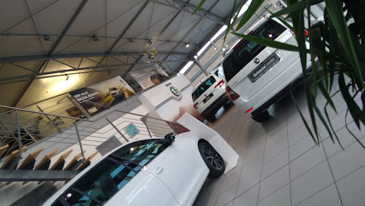 Autohaus Amon e.K.