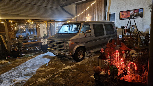 AVP American Vehicle Place