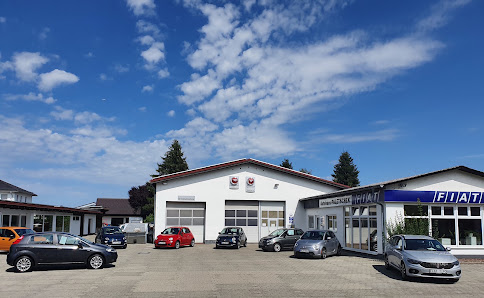 Auto Paletschek
