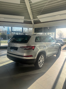 Auto Singer Buchloe - Ihr Partner für VW, Nutzfahrzeuge, Škoda, Audi, Seat und Cupra im Ostallgäu