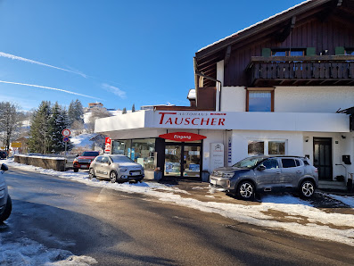 AUTOHAUS TAUSCHER GMBH & CO. KG Citroën services