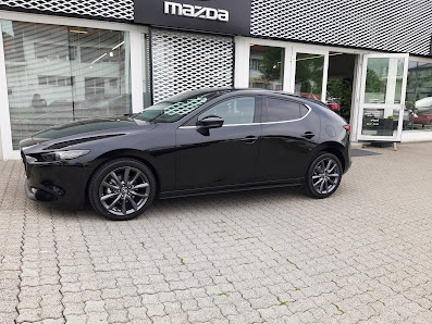 Autohaus Grasdanner GmbH - Bosch Car Service