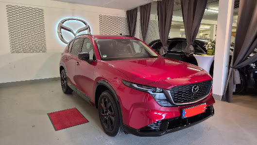 Autohaus Grasdanner GmbH - Bosch Car Service