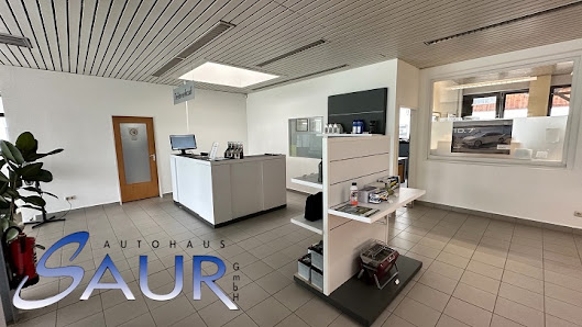 Horst Saur GmbH Kraftfahrzeuge