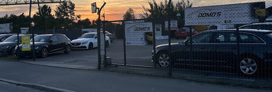 Domo's Automobile (Since2009)