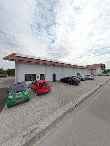 Auto Steiner