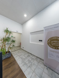 AVP AUTOLAND GmbH & Co. KG | VW Zertifizierte Gebrauchtwagen