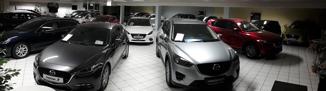 Autohaus Leuzinger GmbH