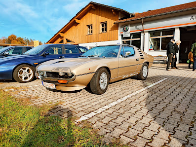 AUTO MOSER GMBH & CO.KG