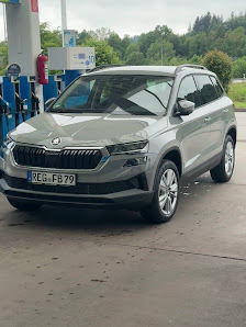 AVP AUTOLAND GmbH & Co. KG | Škoda