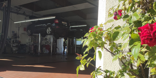 Auto & Reifen TRENNER