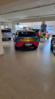 Autohaus Dornig GmbH & Co. KG