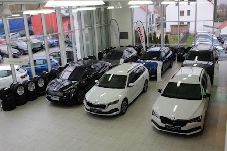 Auto Götz GmbH - Škoda Vertragspartner
