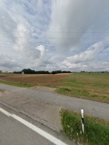 Gebrauchtwagen Franzesko