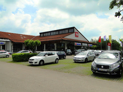 Auto Schmid GmbH - Kia & Suzuki Vertragshändler, Wild Land Drivers