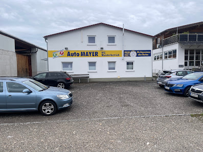 Auto Mayer