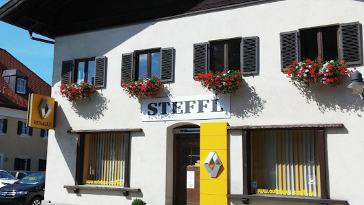 Hans Steffl