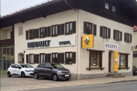 Hans Steffl