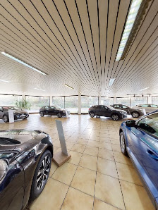 Avemo, Gelder & Sorg | Autohaus Ebern