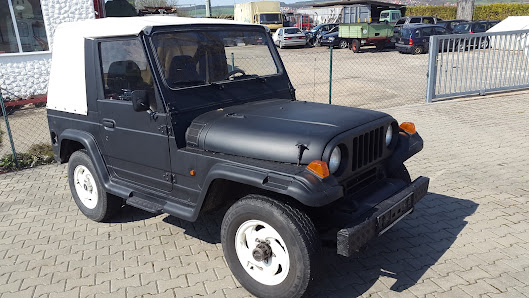 Auto Sammetinger