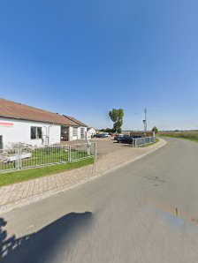 Auto Sammetinger