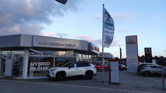 M.C.F. Motor Company Fahrzeugvertriebsges. mbH