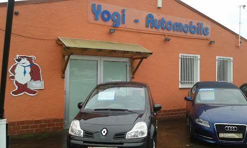 Yogi-Automobile