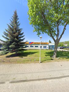 Die Dellenprofis GmbH