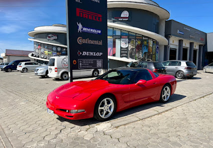 Automobile Galerie Toni