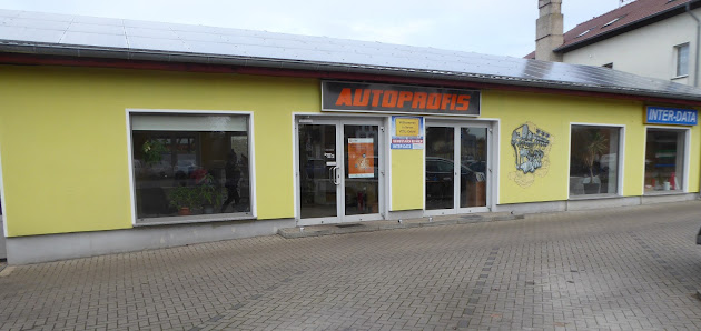Autoprofis