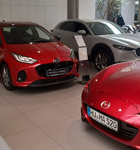 Weber Automobile GmbH