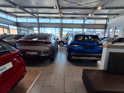 Seat/Cupra - Autohaus Brass Offenbach - Ihr Autohaus für Seat/Cupra PKW - Neuwagen, Gebrauchtwagen, Service