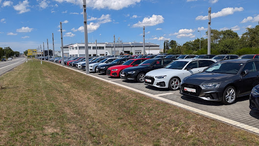 Avemo, Best, Audi Gebrauchtwagen | Autohaus Mühlheim am Main