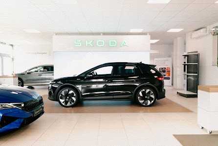 Avemo, Best, Škoda | Autohaus Offenbach