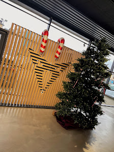 Seat/Cupra - Autohaus Brass Darmstadt - Ihr Autohaus für Seat/Cupra PKW - Neuwagen, Gebrauchtwagen, Service