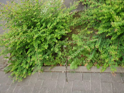 Vergölst Gießen