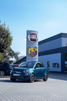 FIAT STELLANTIS &YOU MAINTAL