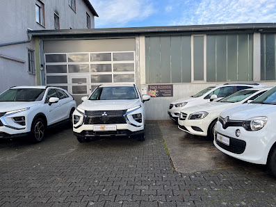 Frosch Automobile