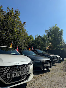 Auto Peter München - AP Riemerling - AP Otterfing