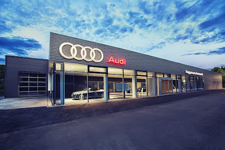 Hoppmann Autowelt | Volkswagen · Audi · Volkswagen Nfz