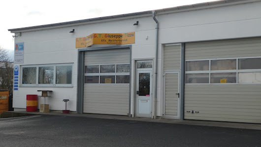 Guiseppe Tizza Auto - Reparatur