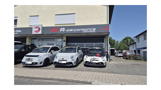 ECA-Performance