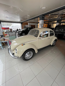 Fahrzeughaus Helmut Emig GmbH Škoda services