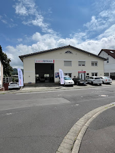 junited AUTOGLAS Schotten