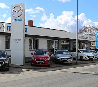Autohaus Born GmbH