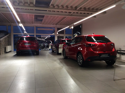 Autohaus Born GmbH