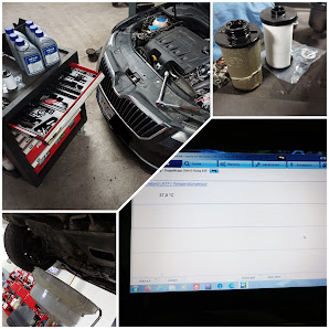 TB ServicePoint