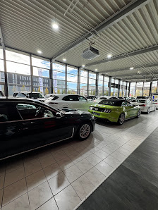 Autohaus Elegance ek