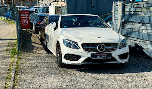 Jung Automobile